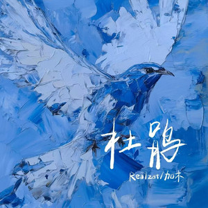 精品视频在线免费观看91
