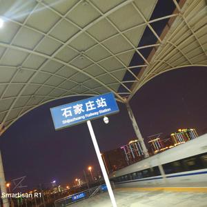 美国中老年人日逼毛片
