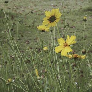 欧美乱乱乱乱视频
