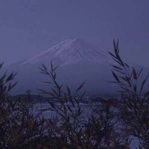 成人🔞高潮片免费网站小玩具
