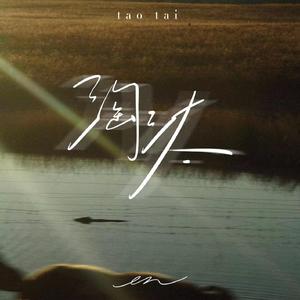 91视频免费版官网
