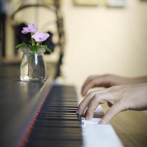 午夜男同女同在线观看
